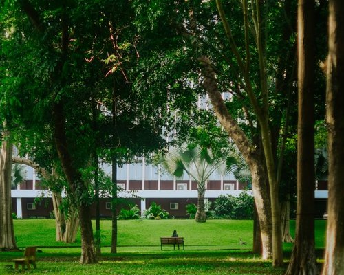 A person sitting peacefully on a wooden bench in a quiet green urban park in Colombia