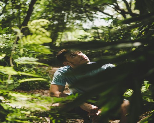 Hiker resting under the dense shade of large tropical leaves